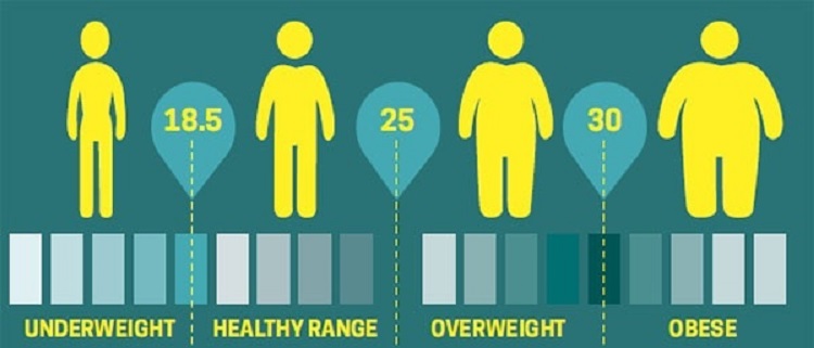 body mass index calculate